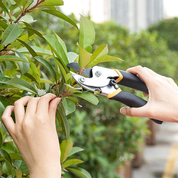 Секатор садовый Deli DL580205 лезвия с тефлоновым покрытием, длина 200мм, макс.диаметр резки 15мм, сталь 55С фото 3