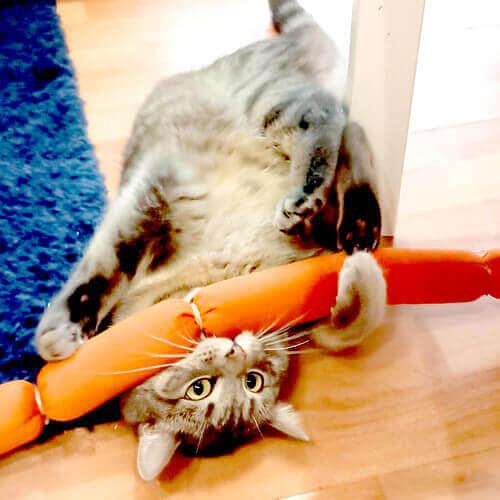 Игрушка для кошек Сосиска (комплект 5шт) ОПТ фото 3