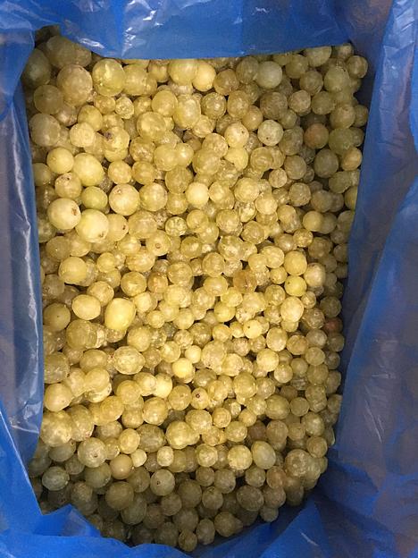 Крыжовник - собственный импорт, 10 кг Опт фото 1