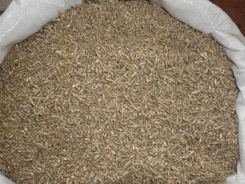 Комбикорм для лошадей фото 1