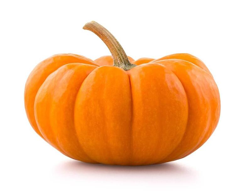 Семена тыквы Enza Zaden «Муск де Прованс» F1 опт фото 1