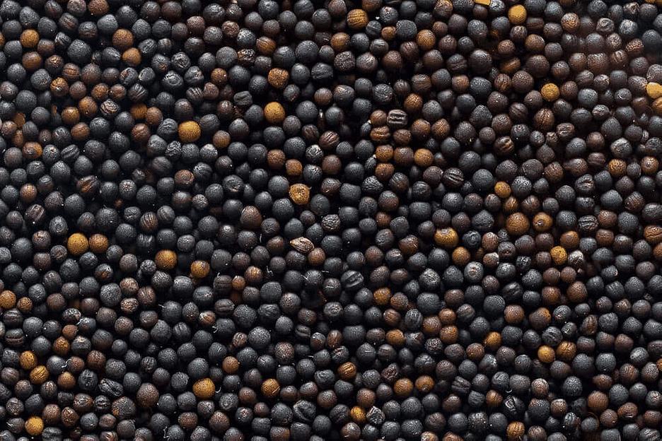 Рапс ГОСТ фото 1