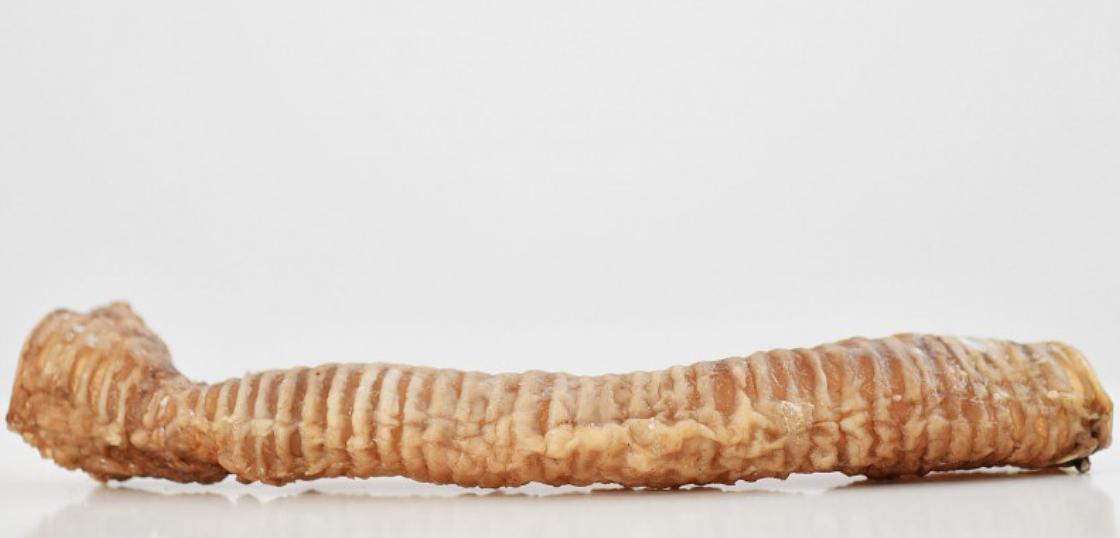 Трахея говяжья (цельная) сушеная для собак, 120 гр, опт фото 1