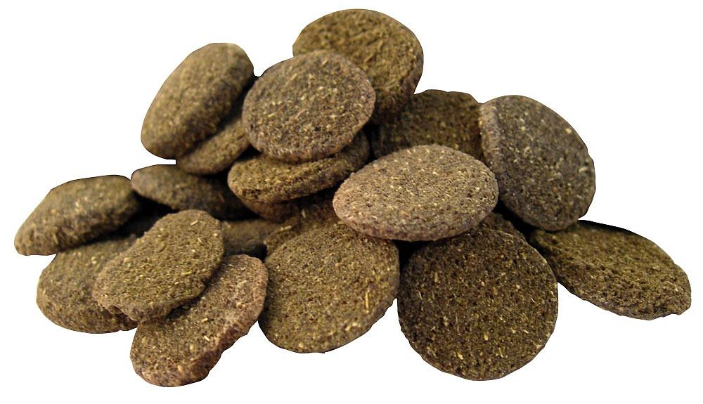 Диски из спирулины опт фото 1