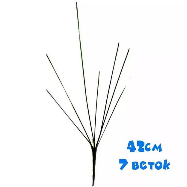 Ножка без листьев 42см 7 веток фото 1