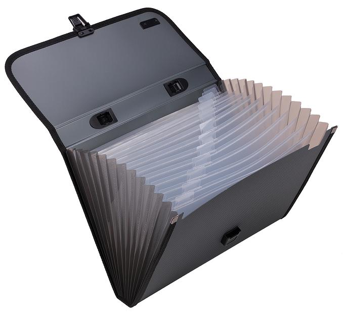 Папка-портфель Deli Extend E5556 12 отдел. A4 полипропилен 1.05мм ассорти фото 1