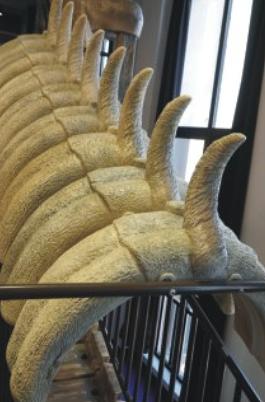 Игровая детская площадка VS2-8007A фото 3