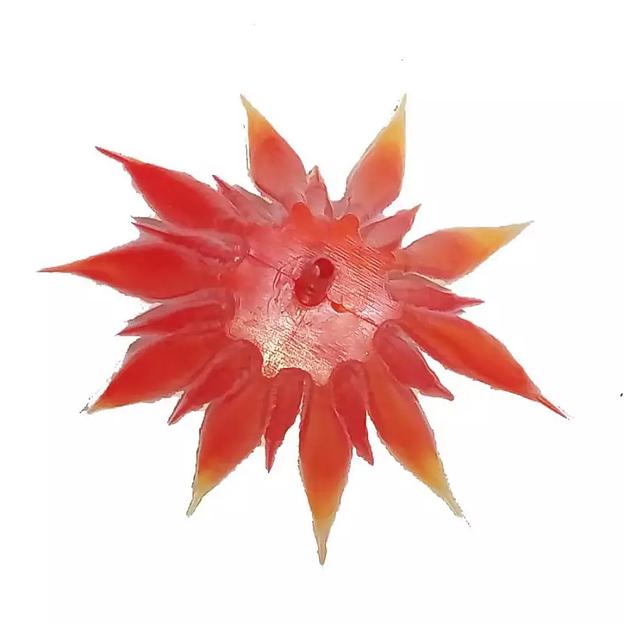 Добавка середина с ножкой Оранжевая 5-8см 168с (с крепл.) 548шт/кг фото 5