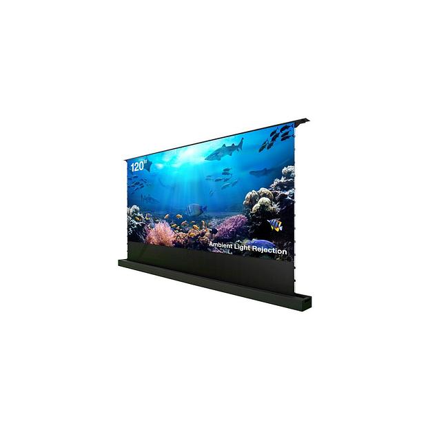 Экран Cactus FloorRising CS-PSFRALR-263X148, 263х148 см, 16:9, напольный черный фото 1