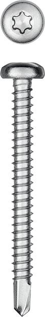 KRAFTOOL DS-P, 50 х 4.8 мм, А2, сверло, полукруглая головка, ТХ25, 150 шт, саморез нержавеющий (300931-48-050) фото 1