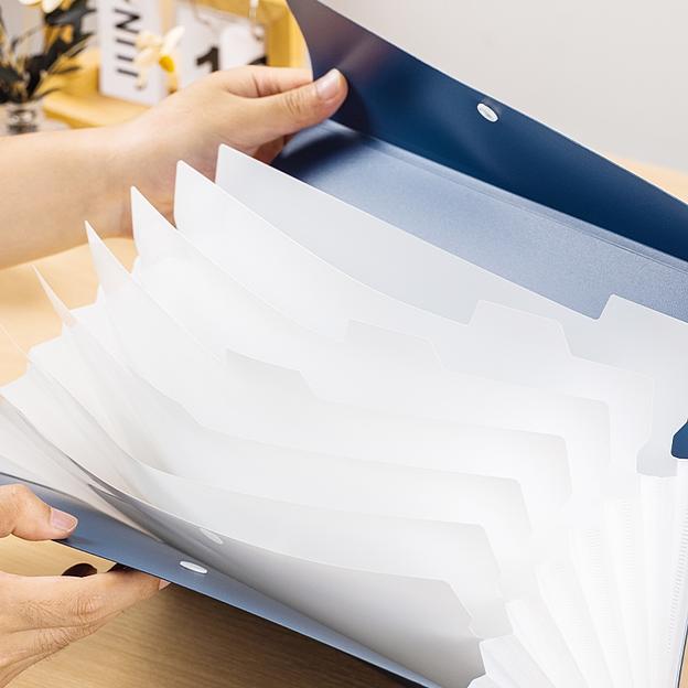 Папка-портфель Deli EF606 на кнопке 8 отдел. A4 пластик ассорти фото 3