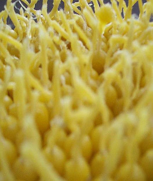 Свеча восковая №120 литая опт фото 2