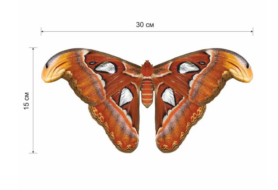 Деревянные пазлы «Павлиногазка атлас» S 30×15 см 89 деталей фото 9