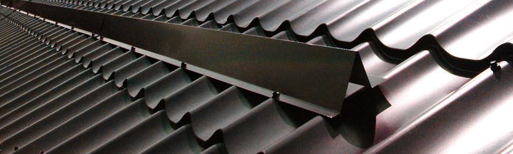 Планка снегодержания фото 1