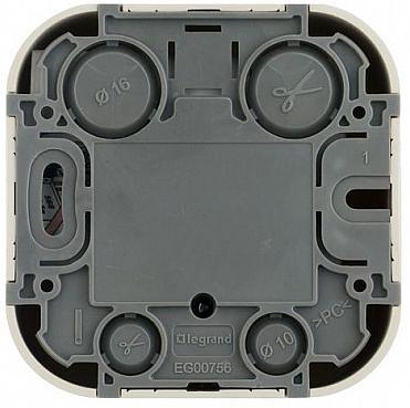 Розетка телефонная Legrand Quteo (782244) откр. слоновая кость фото 3