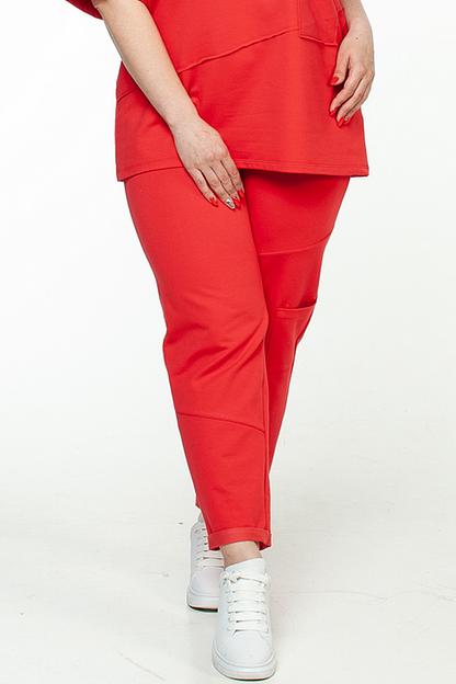 Брюки футер 2-х нитка  102/08/Красный  фото 1