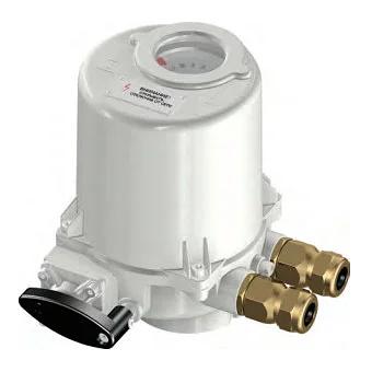 Электропривод ГЗ-ОФ 220 В для затвора 25/5 SGL 50-65 фото 1