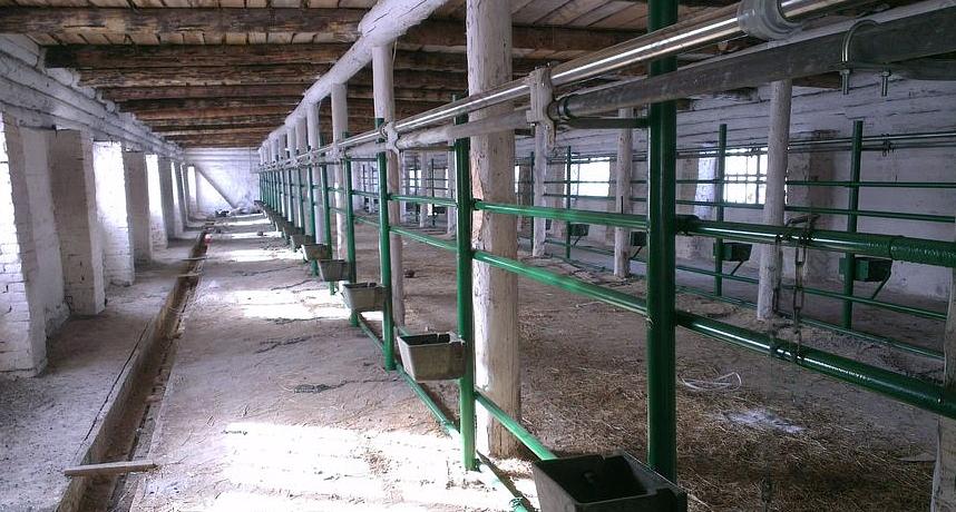 Молочная труба AISI 304 d52 опт фото 1