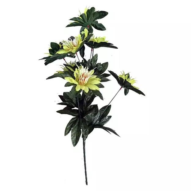 Букет с астрами 7 голов 51см 381-694 фото 1