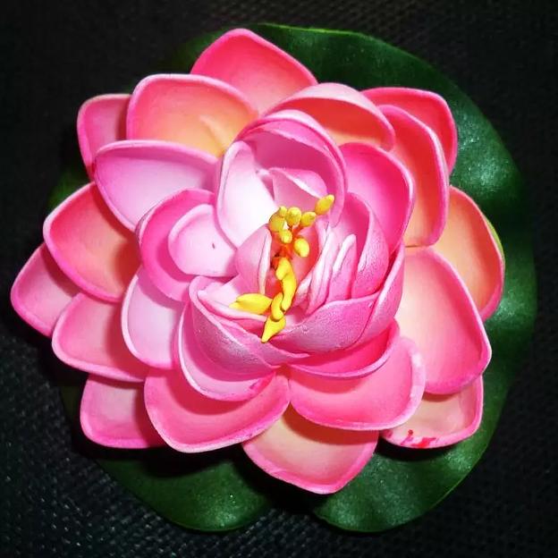 Кувшинка латексная 10см фото 1