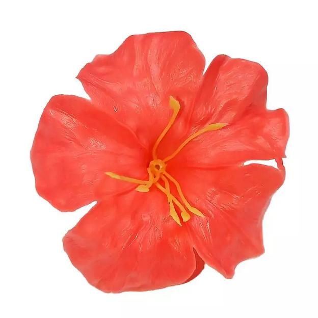 Головка лилии волнистой 9см фото 4