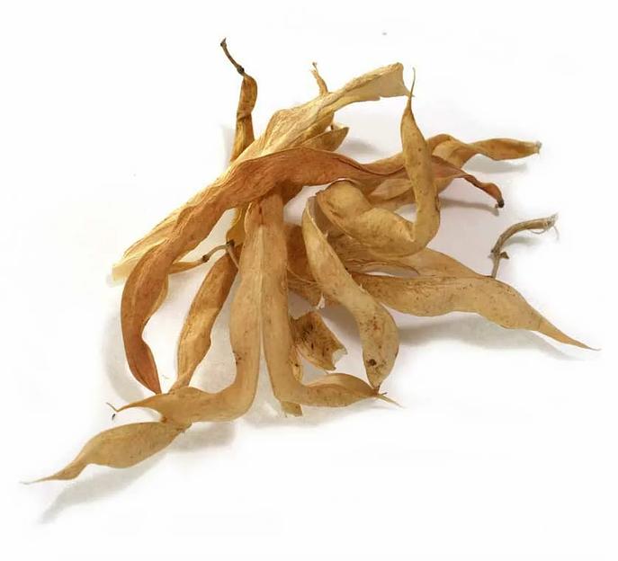 Створки фасоли фото 2