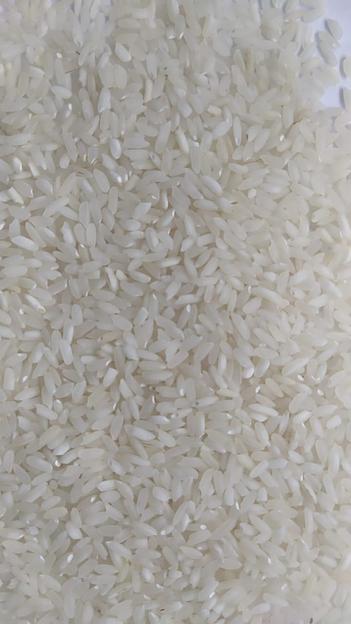 Рис шлифованный среднезерный фото 1