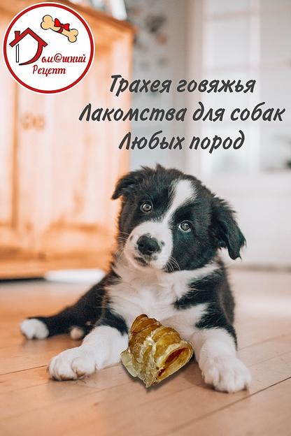 Трахея говяжья цельная лакомство для собак 1 кг ОПТ фото 3
