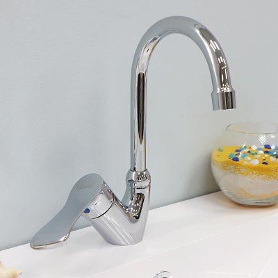 СМ-Т17/БАГУЛЬНИК (Ригель-Сиб) фото 1