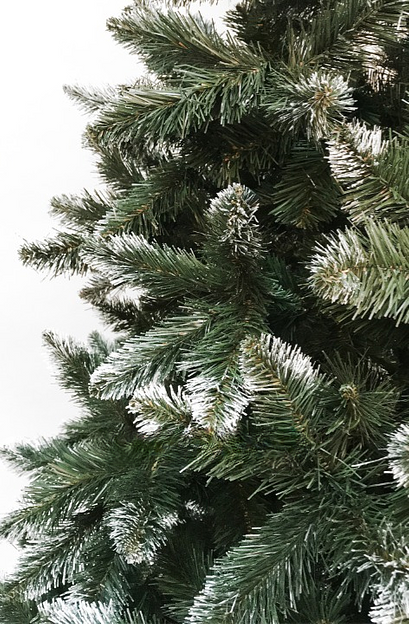 Искусственная ель с белыми кончиками «Олимпийская Премиум» 150 см ОПТ фото 2