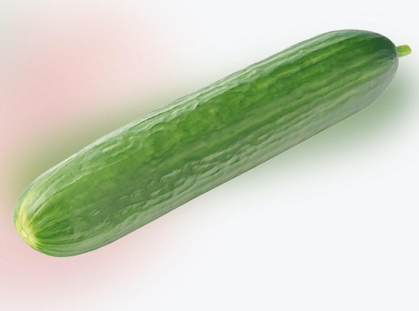 Среднеплодный огурец гладкий Мева высший сорт ОПТ фото 3