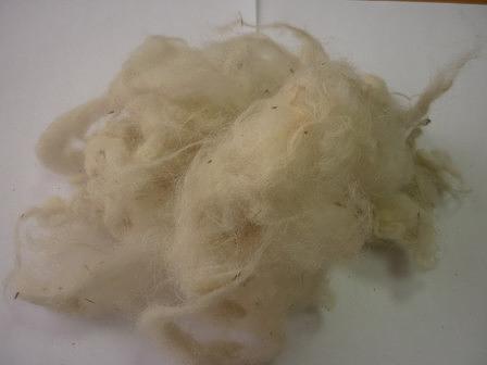 Мытая полугрубая светло-серая шерсть опт фото 1