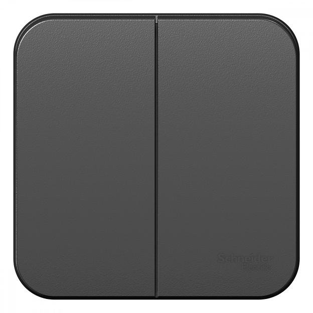 Systeme electric BLNVA105016 BLANCA О/У 2-клавишный ВЫКЛЮЧАТЕЛЬ ( c х.5) ИЗОЛ.ПЛ., 10А, 250B, АНТРАЦИТ фото 1