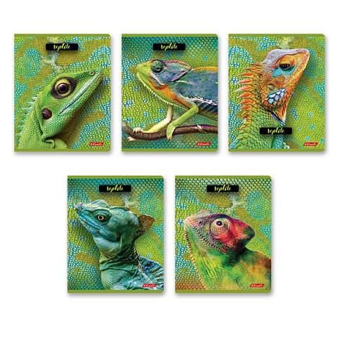 Тетрадь общая на скобе А5, 80 л., клетка, Рептилии, 80ТСК5_8_2_1, SVETOCH фото 1