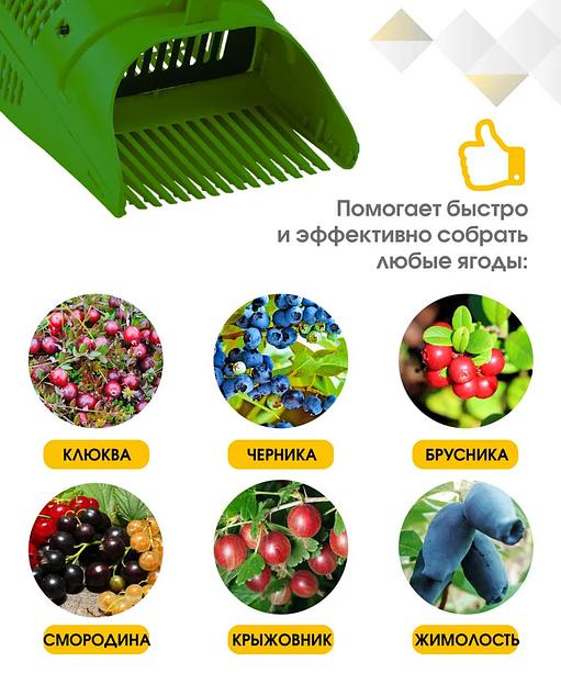 Плодосъёмник для сбора ягод ОПТ фото 3