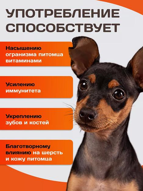 Корм для собак KamLeader «Holistic Говядина с овощами» 5 кг фото 5