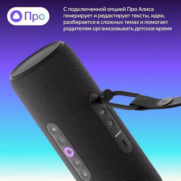 Портативная умная колонка Яндекс Станция Стрит с Алисой, 30 Вт, YNDX-00030BLK, чёрный фото 6