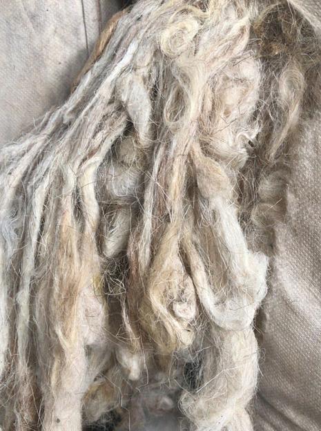 Мытая полугрубая цветная светлая шерсть опт фото 1