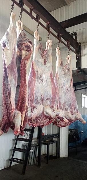 Охлажденные полутуши / четвертины быки молодняк, опт фото 2