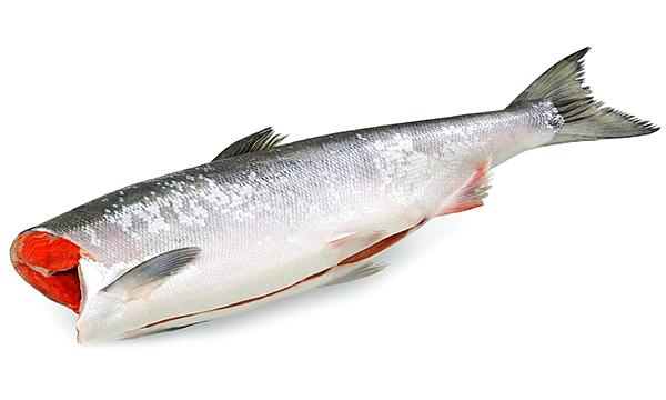 Горбуша без головы 1 сорт серебро ОПТ фото 1