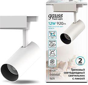 Система трековая Gauss TR079 12Вт 4000K цв.св.:белый нейтральный белый фото 2