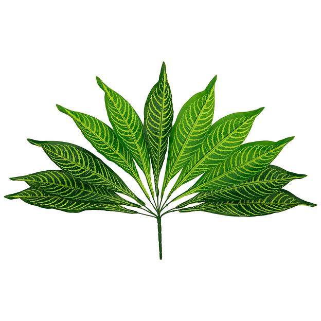 Калатея искусственная, В 48 см фото 1