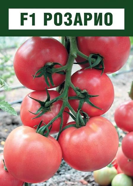 Семена томатов F1 «Розарио» опт фото 1