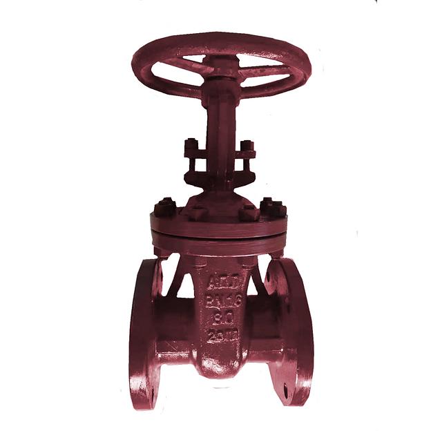 Задвижка клиновая 30лс41нж ДУ80 Ру16 фото 1