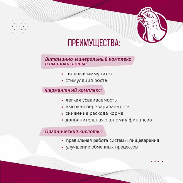 Полнорационный комбикорм для бройлеров «УБОЙНЫЙ КОРМ» фото 2