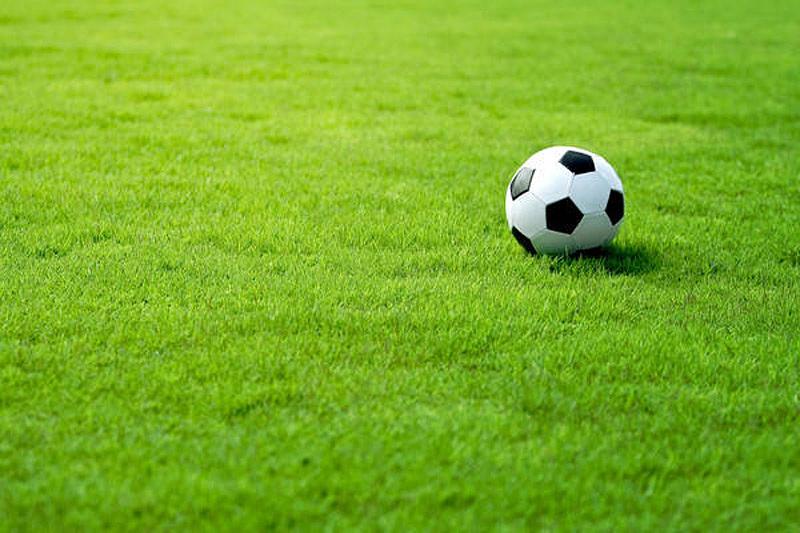 Травосмесь «Городской газон» фото 1