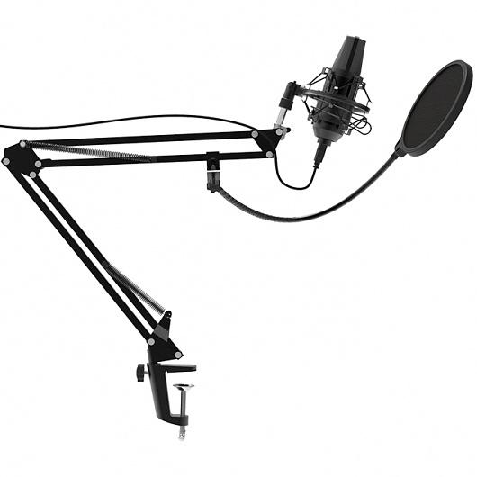 Микрофон проводной Ritmix RDM-180 2.5м черный фото 2