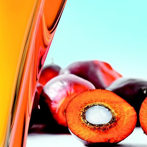 Пальмовое масло «Synergy Oil» Индонезия фото 1