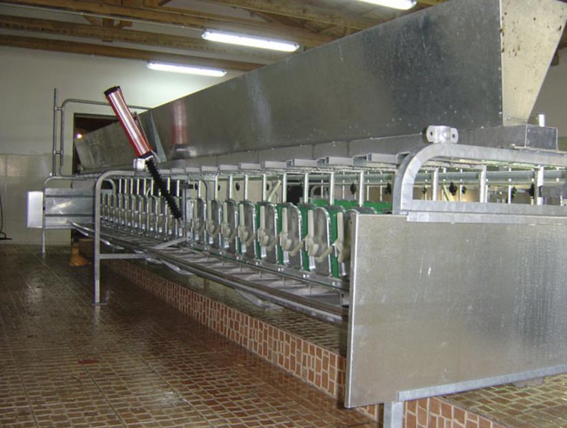 Услуга строительства доильных залов для коз фото 1