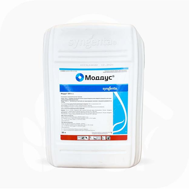 Моддус 250 К.Э 20л ОПТ фото 1